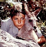 skippy.jpg (15146 bytes)